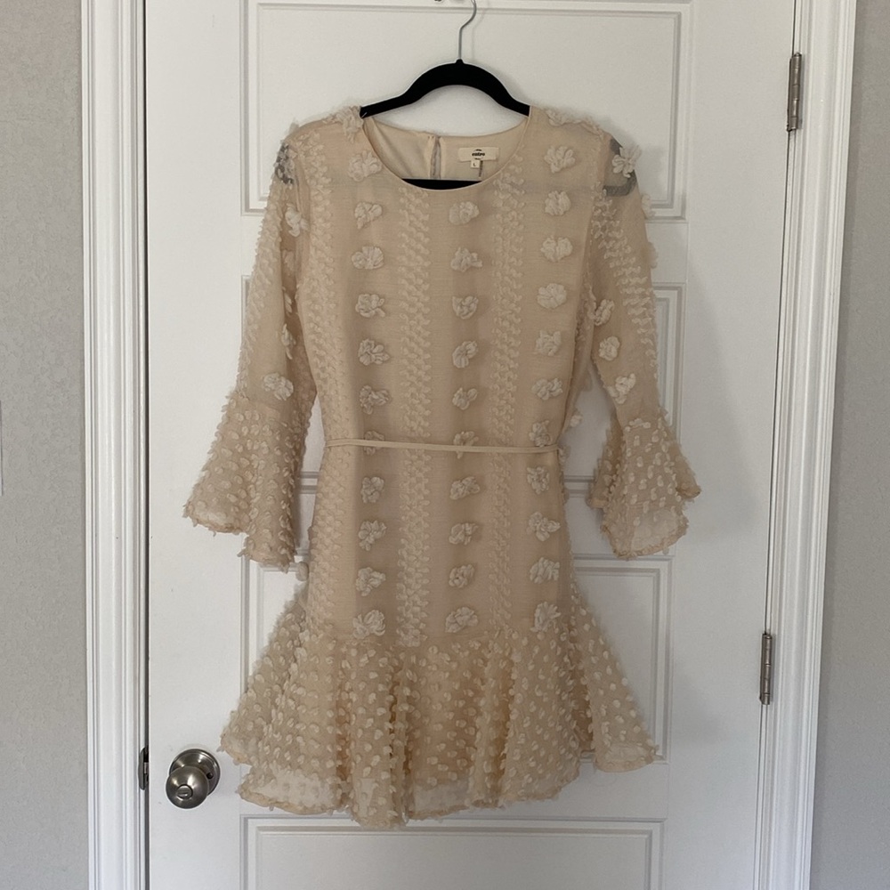 Boutique Swiss Dot Dress